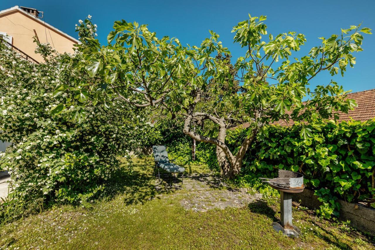 Green Garden Apartments Herceg Novi Buitenkant foto